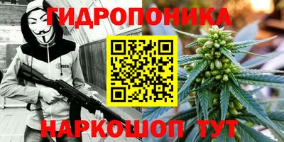 jwh Кунгур