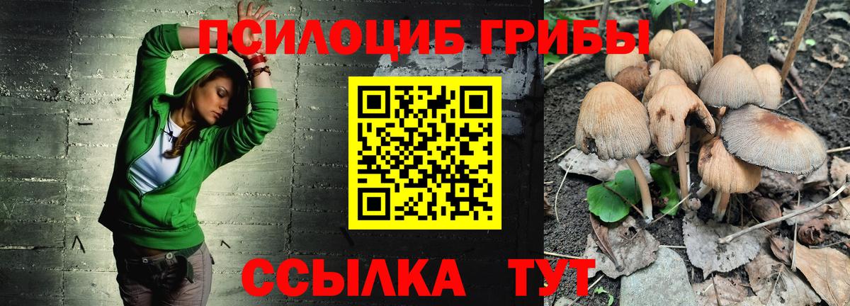 Элиста  Псилоцибиновые грибы мицелий  Вход с VPN 